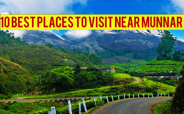 10 Best Places to Visit Near Munnar, 1. Tea Gardens, 2. Kolukkumalai